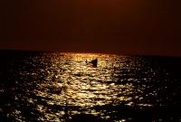 Evening sunlight 　夕陽のウインドサーフィン 　ⓒToshihiko Shibano